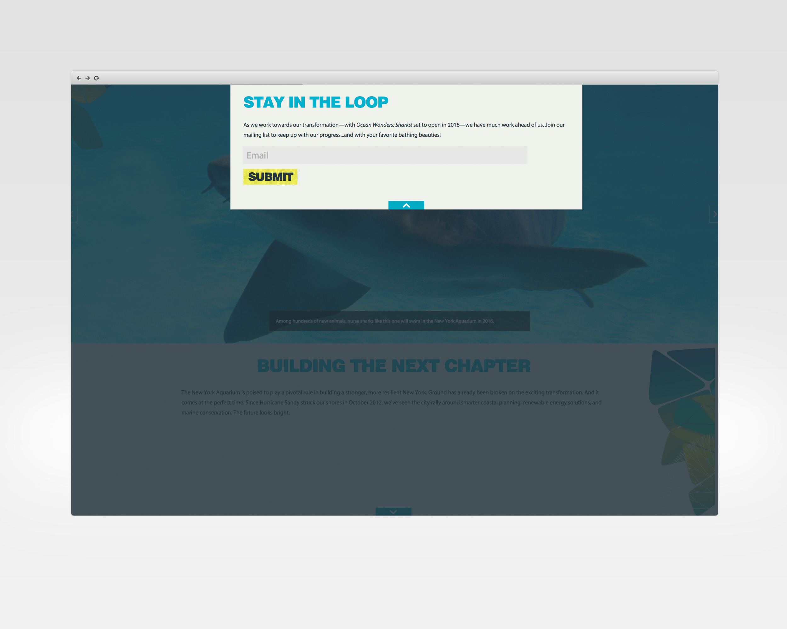   ny aquarium   design, ux, development   Microsite for the NY Aquarium's rebuilding &amp; transformation campaign.   View Project     