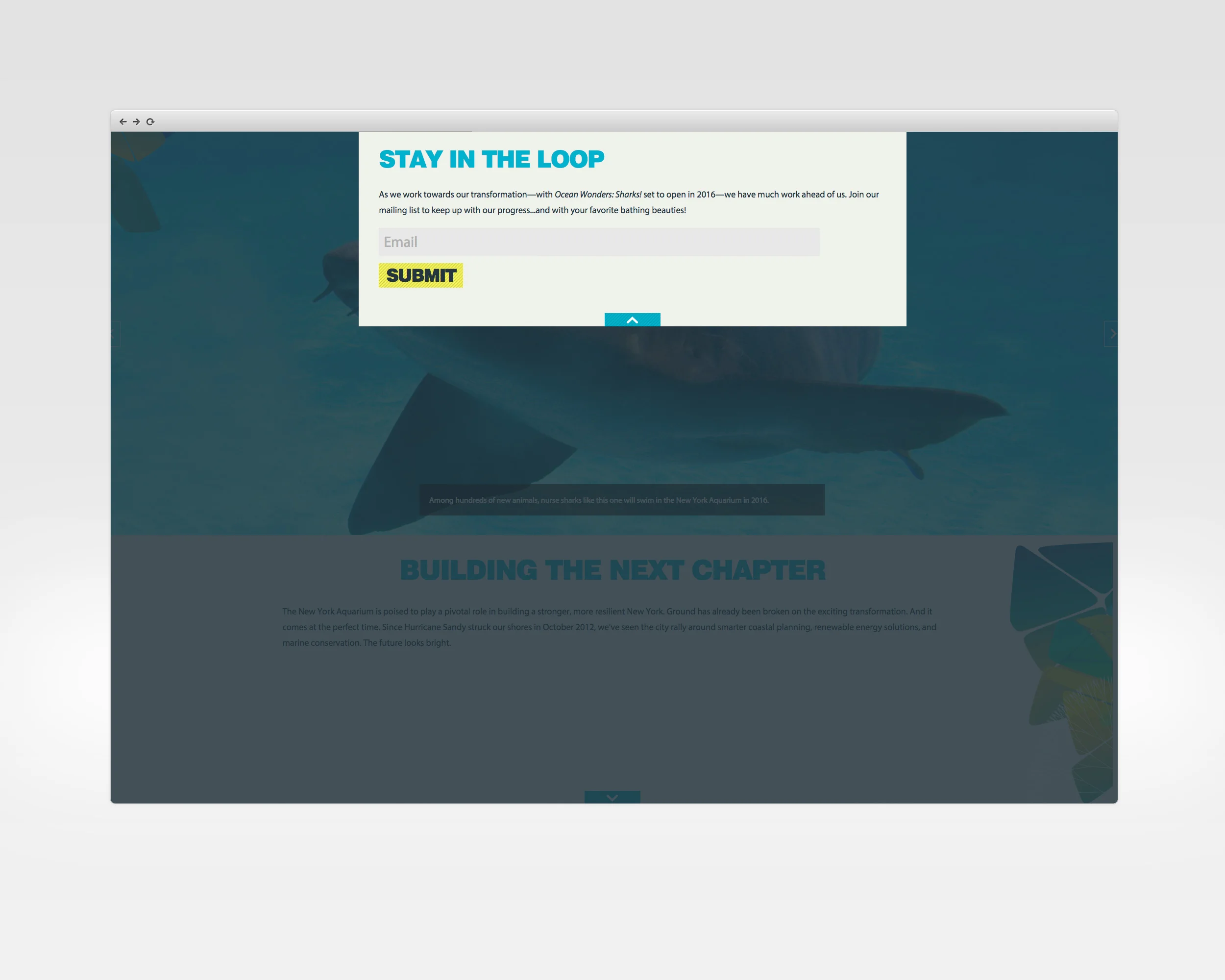 ny aquarium design, ux, development Microsite for the NY Aquarium's rebuilding & transformation campaign. View Project