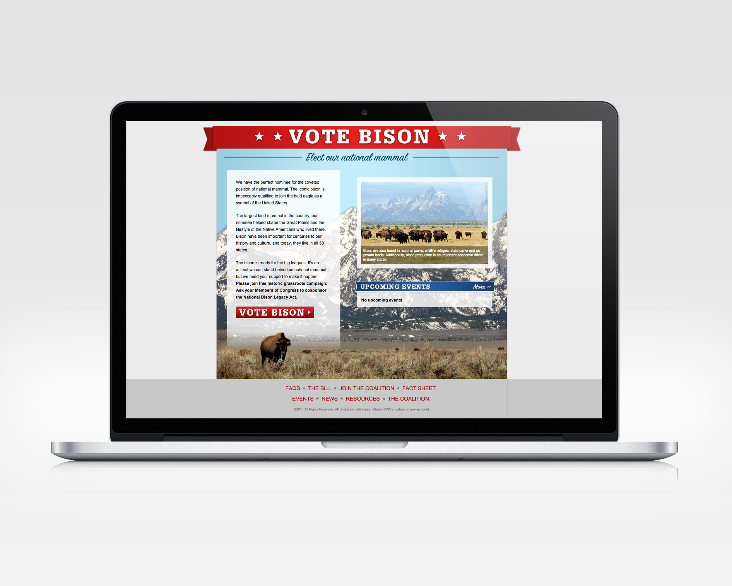   vote bison   design, ux, development   Microsite to support effort&nbsp;to create a&nbsp;federal designation of bison as the national mammal.   View Project     