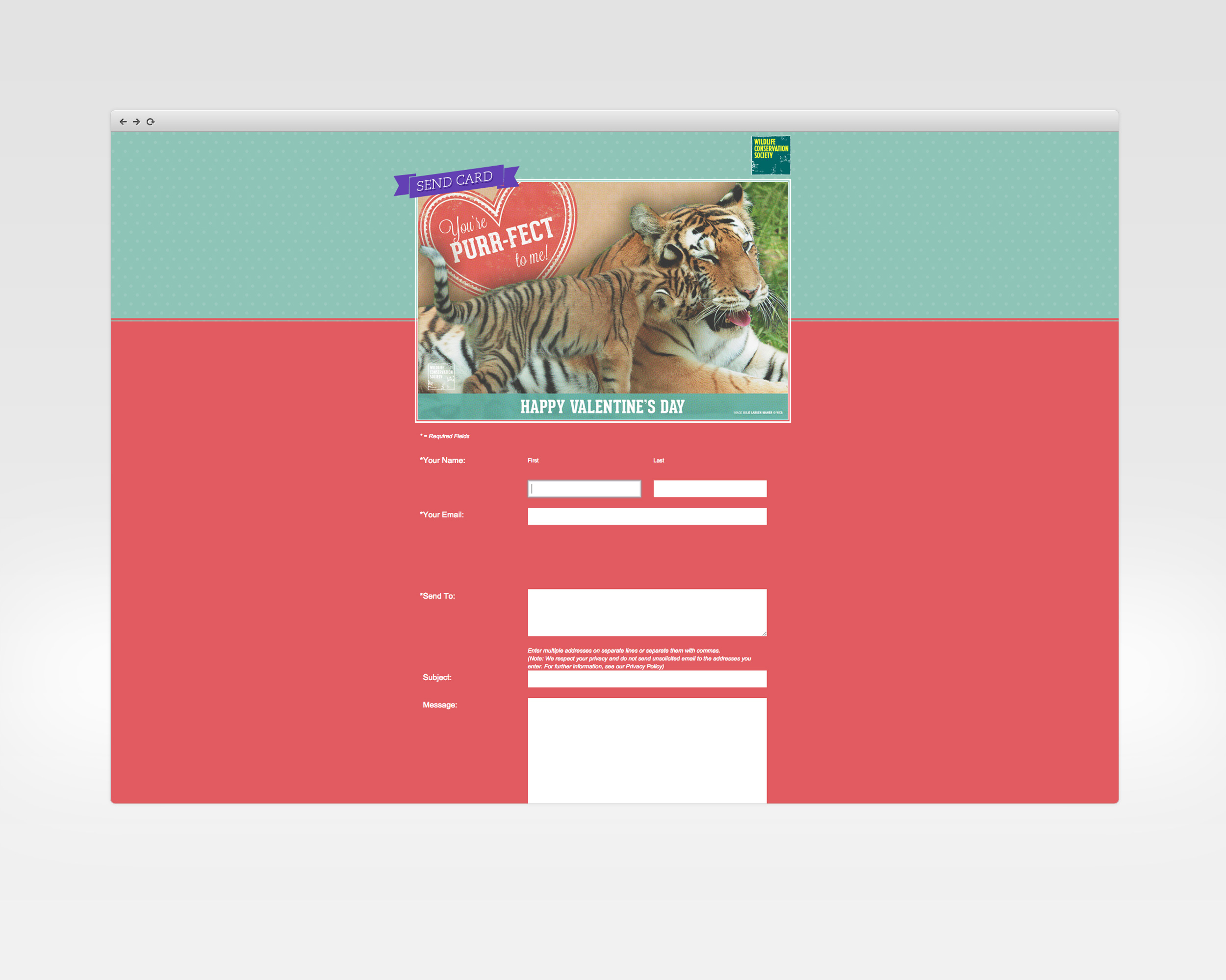   wild valentines   design, ux, development   E-card list generation engagement for Valentines Day.   View Project     