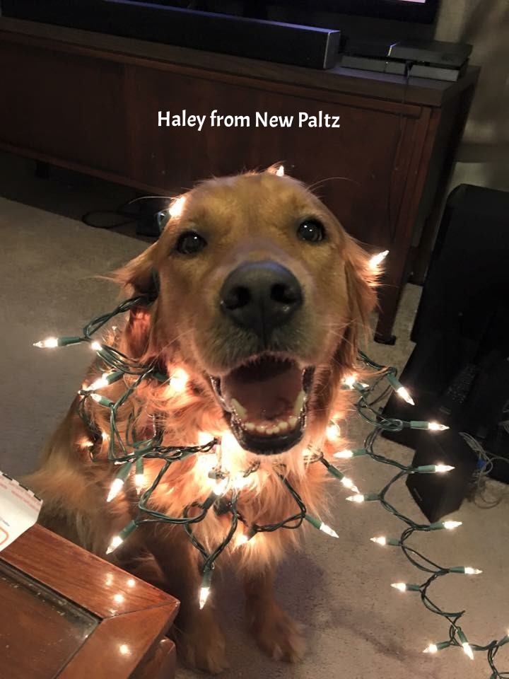 haley new paltz.JPG