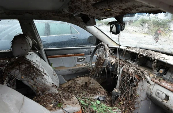 flood car 001.jpg