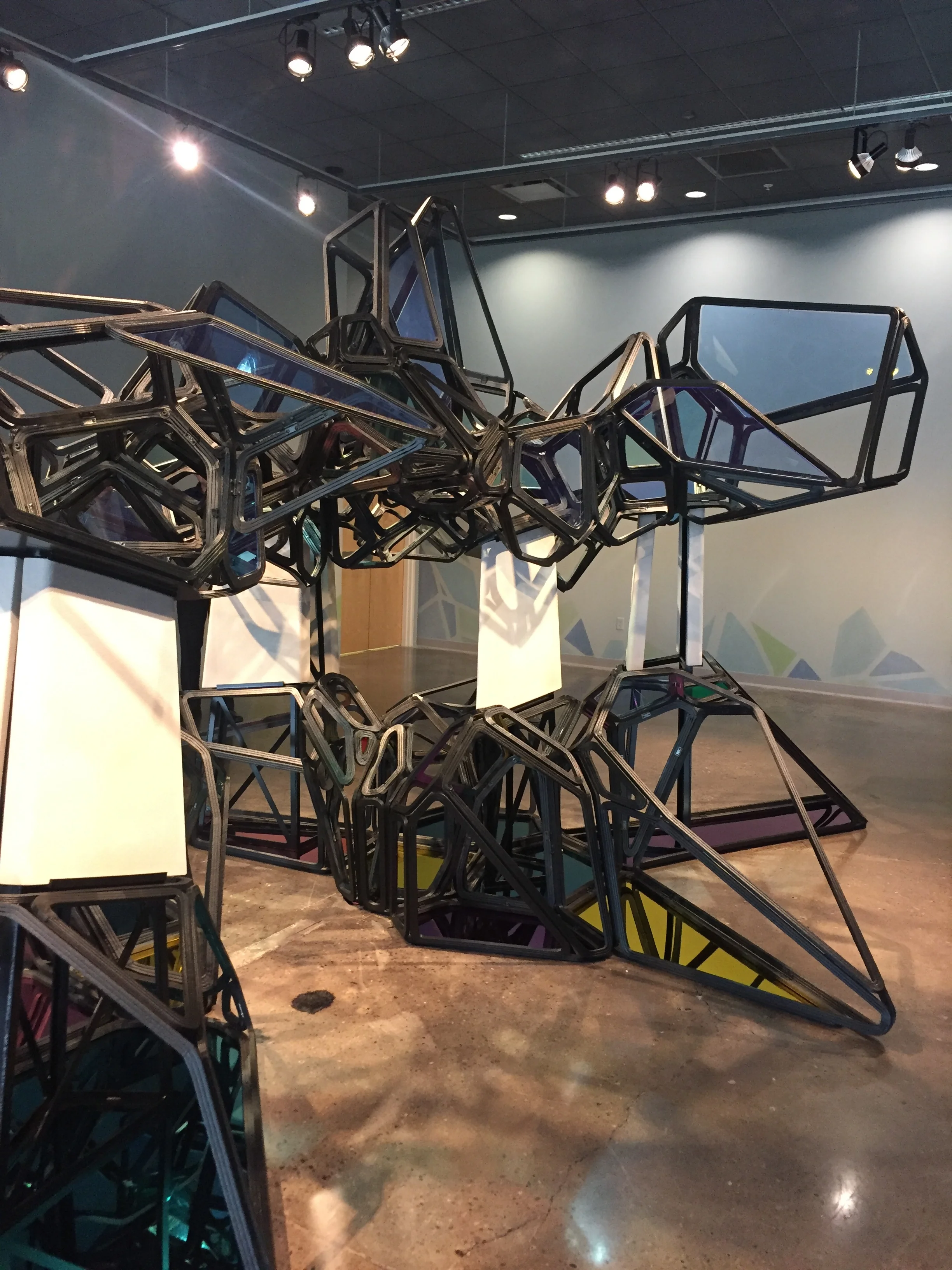 Shadown of an Unknown Bird.JPG