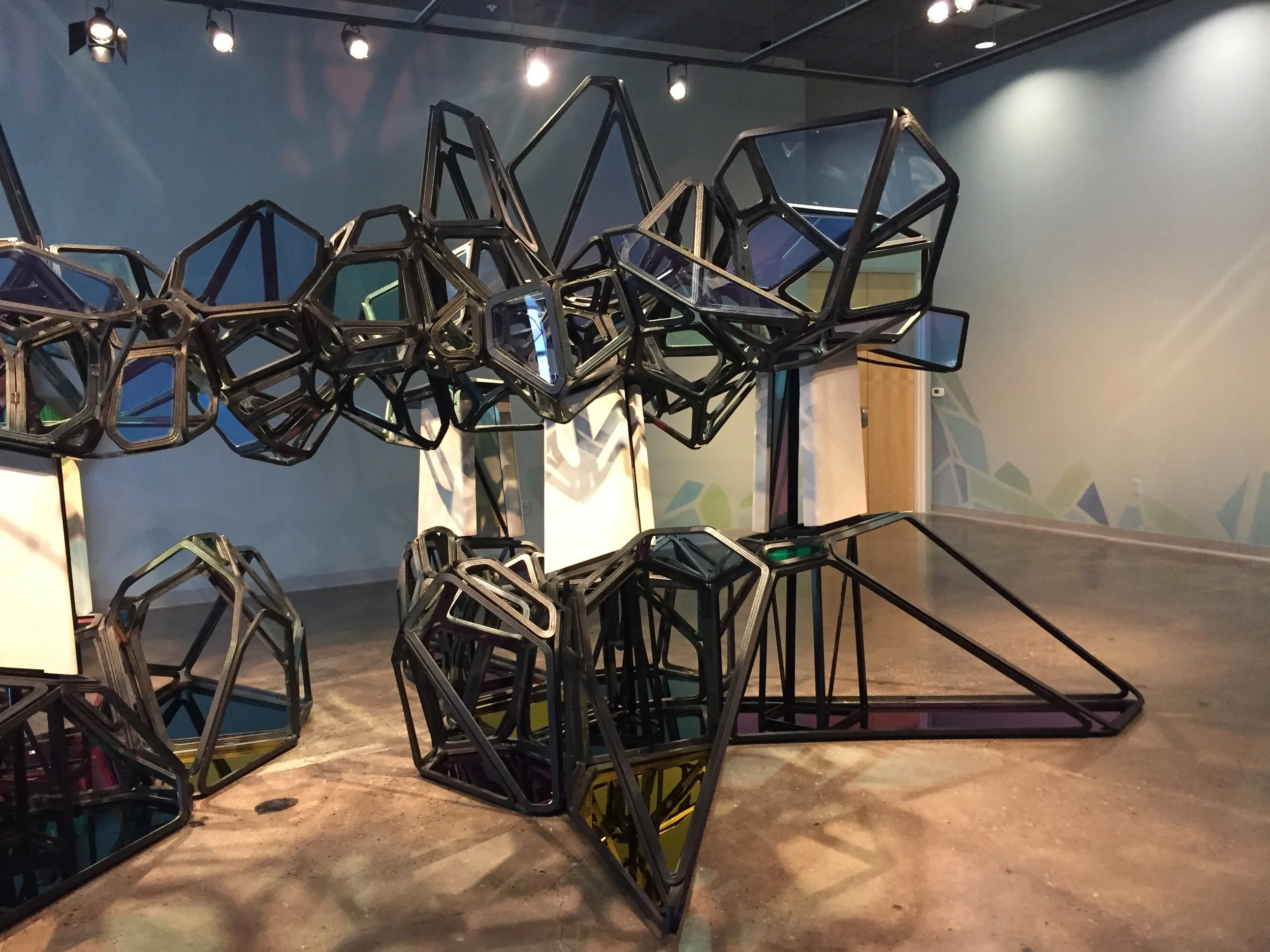 Shadown of an Unknown Bird_3.JPG