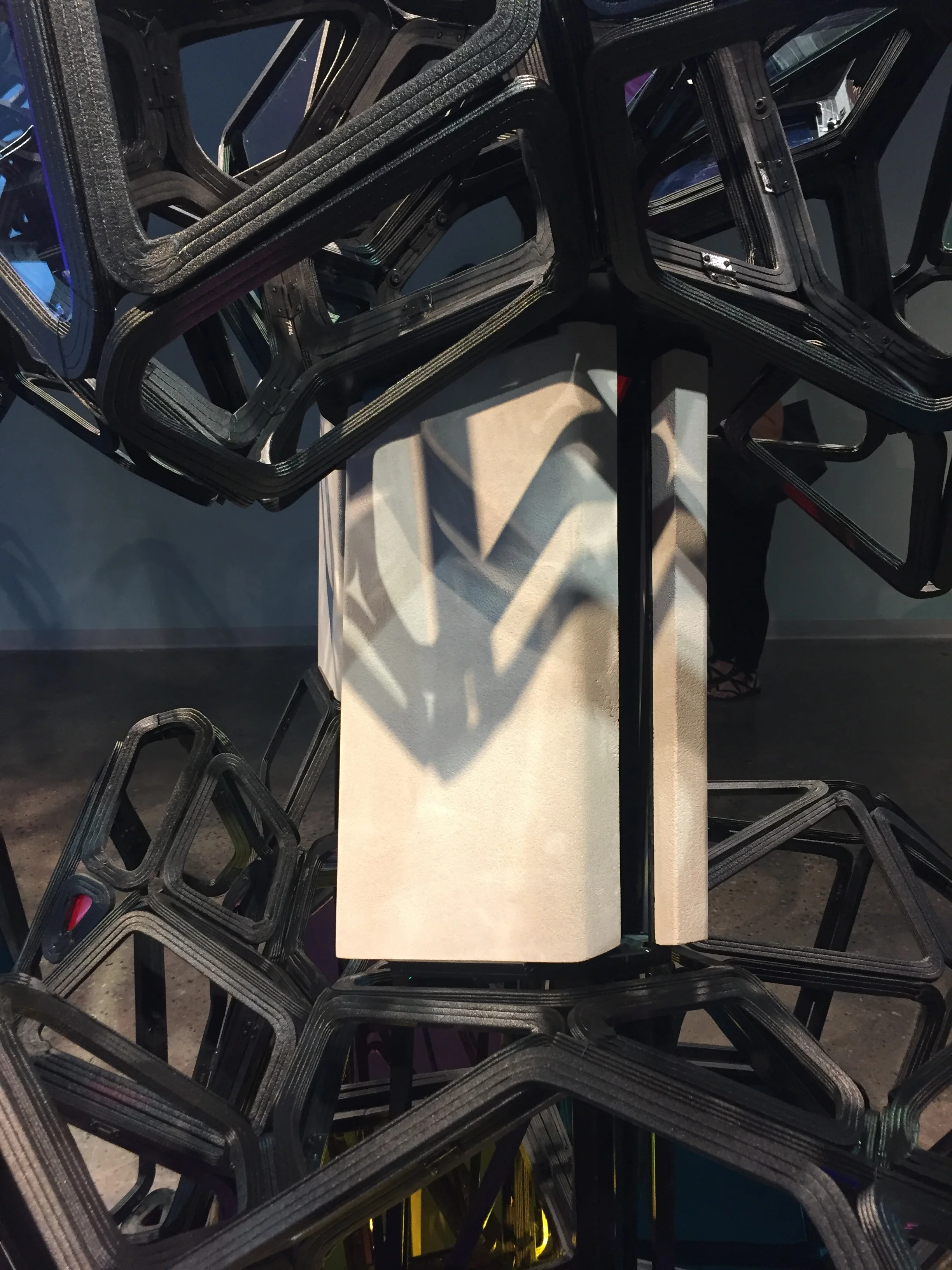 Shadown of an Unknown Bird_6.JPG