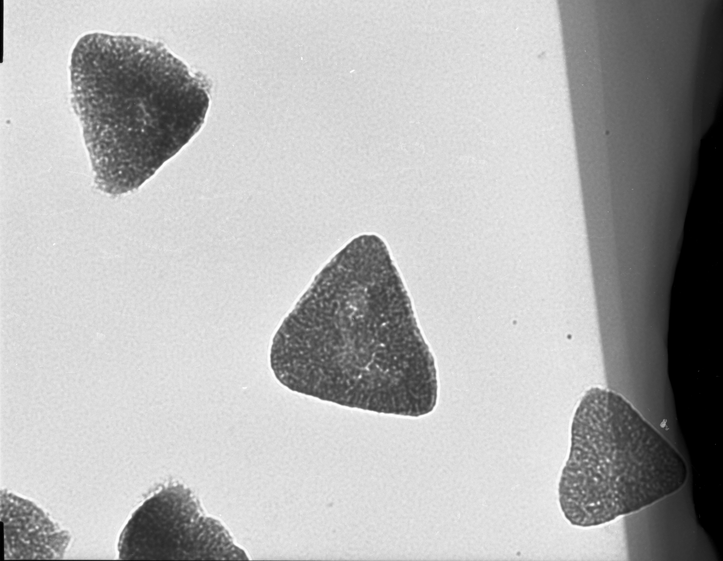 bn-large-triangles-2.png