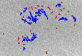image analysis.png