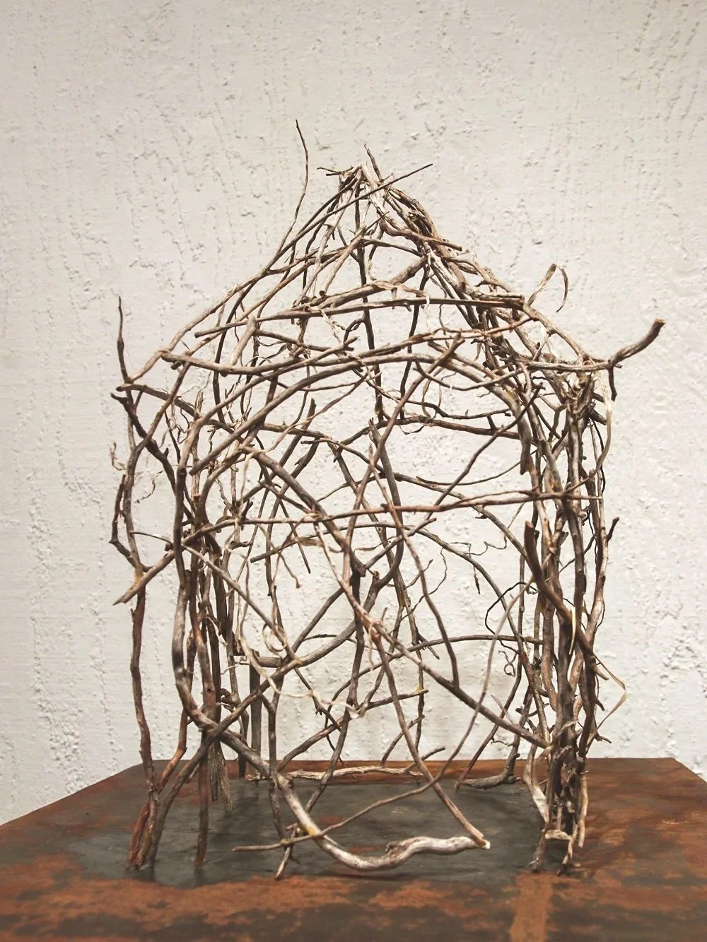 Nest House
