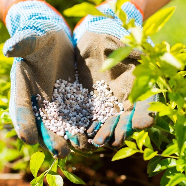 Fertilizer alert! Seems like yesterday it was December, but it's February now, which means it's time again to apply pre-emergent. We carry everything you need. Stop by the Garden Center, visit the link in our bio or give us a call at (912) 756-6726. 