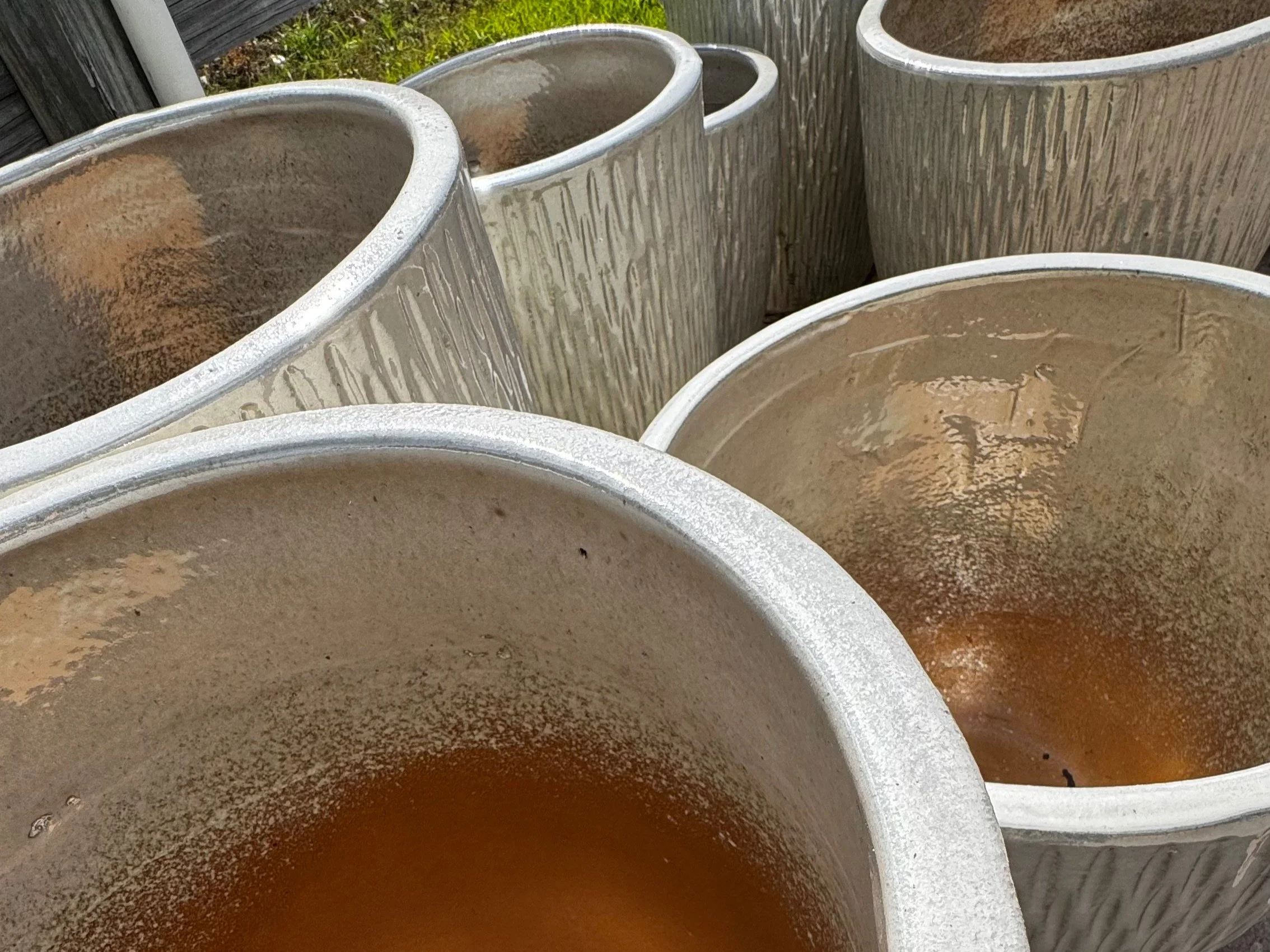 Elmgren's Spring Newsletter 2025