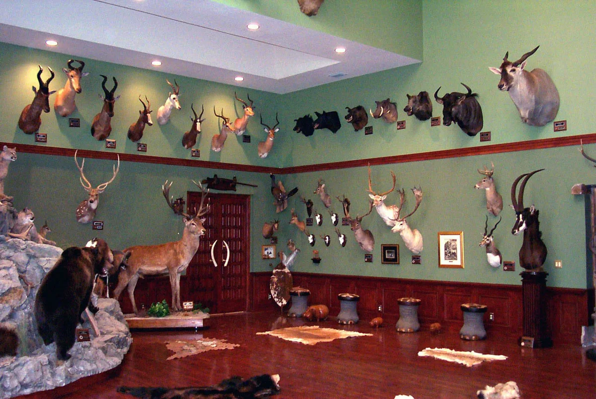 TrophyRoom08.jpg