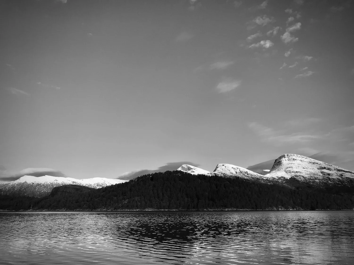 IMG_4076.jpg