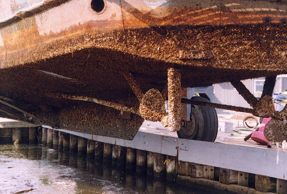 Being Hauled At Viking Boatyard In Verplanck, NY