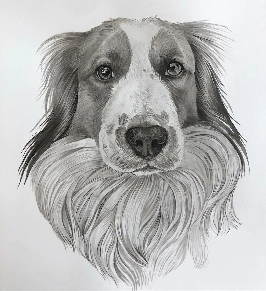 Spencer+Portrait.jpg