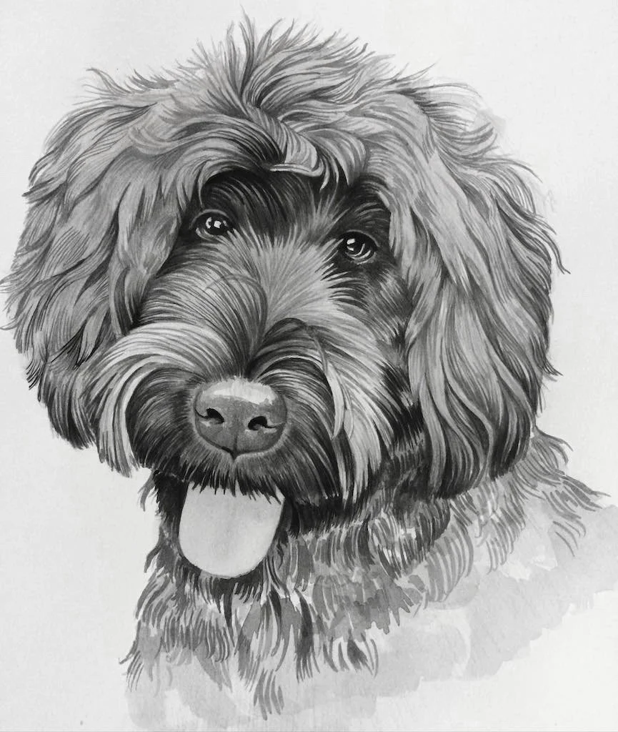 Harry+Portrait.jpg
