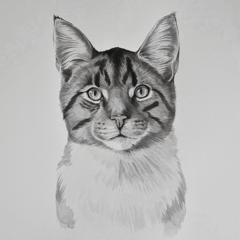 Giddy+Portrait.jpg