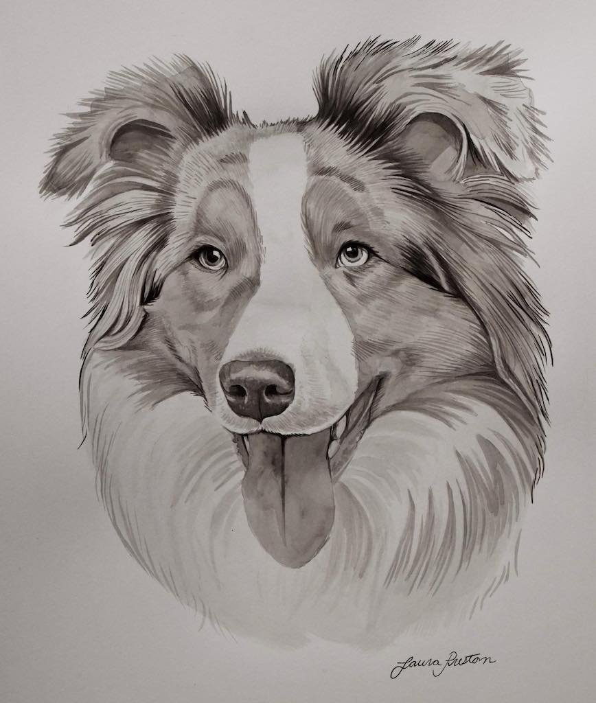 Pepper Portrait.jpg