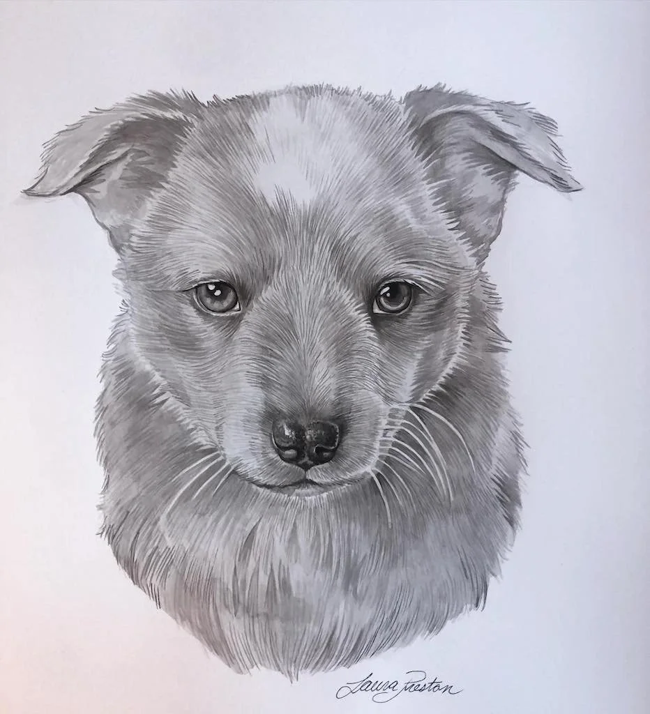 Rudy Portrait.jpg