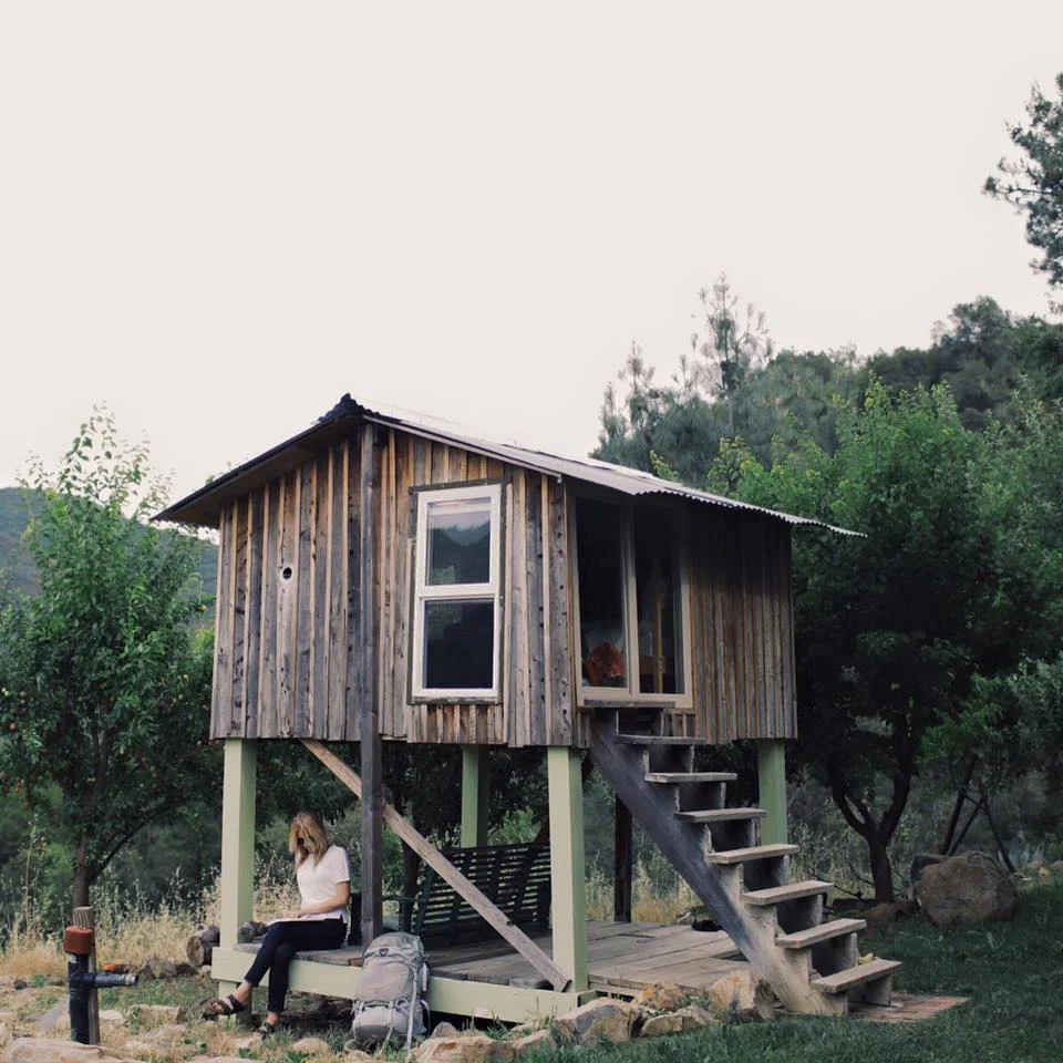 Californian Honeymoon: Napa Valley