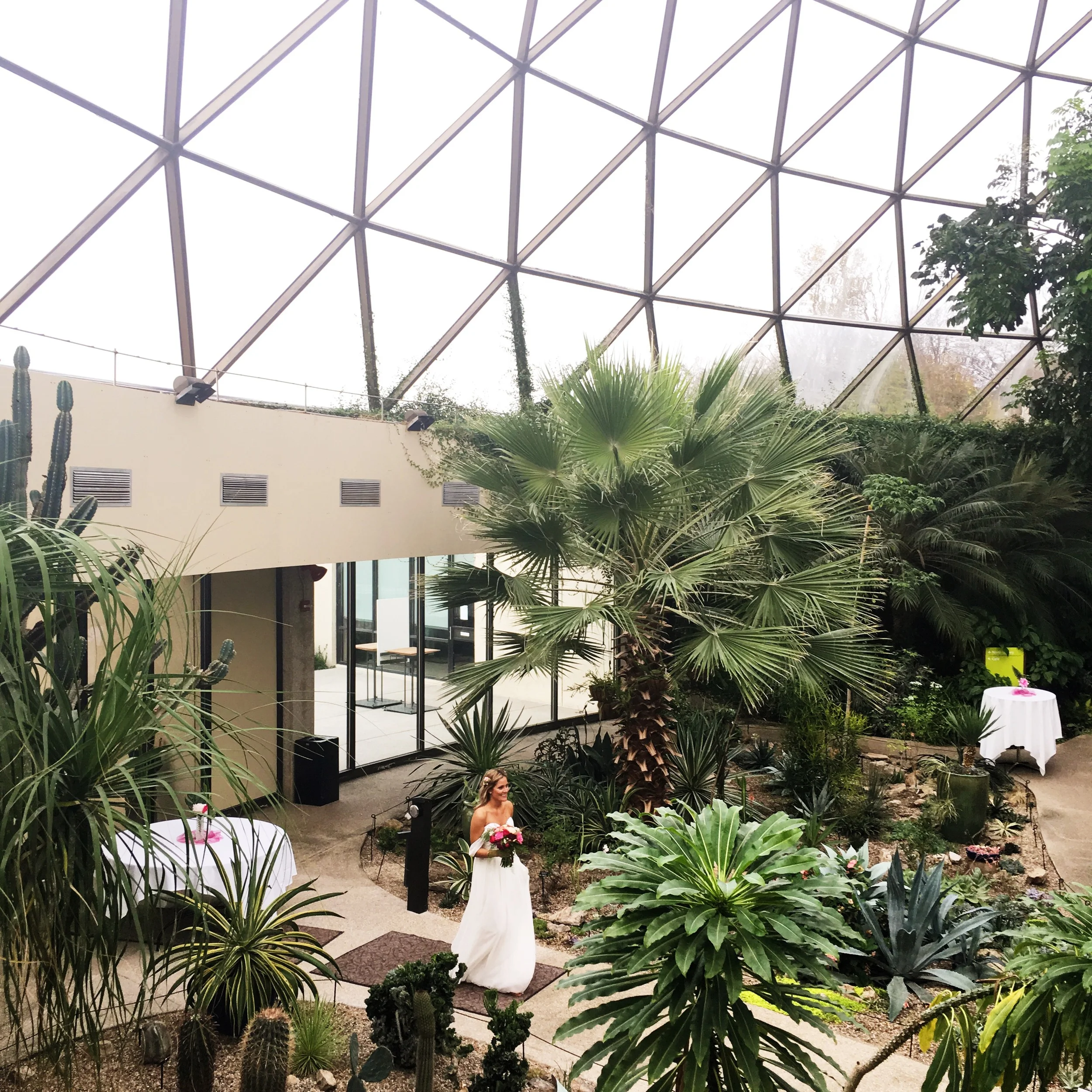 The Spaids. It's Done.