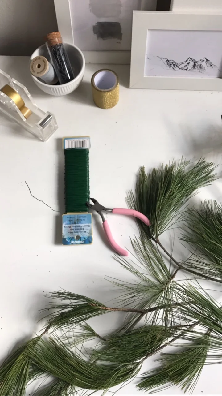 Compostable Holiday Decor