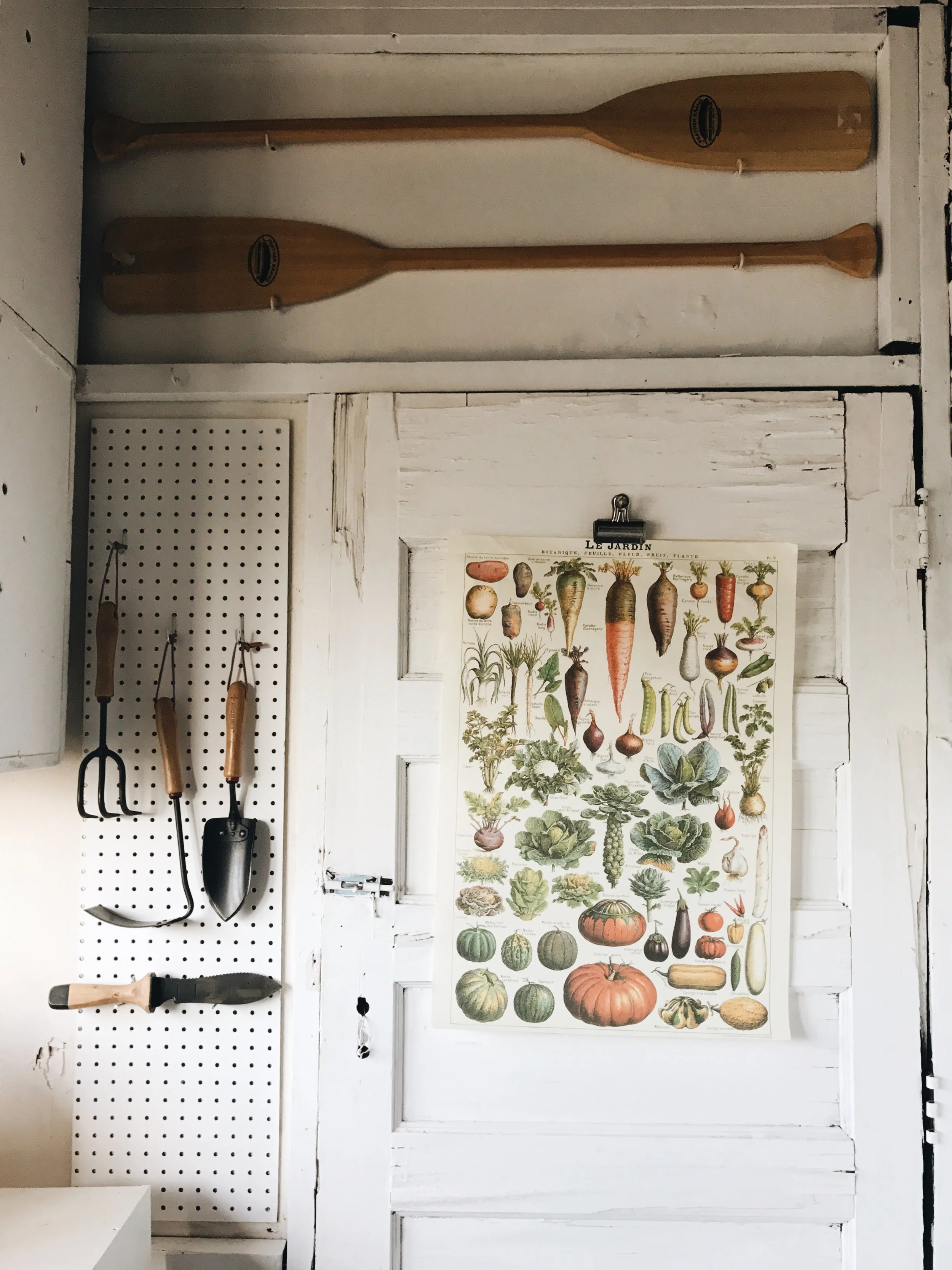 Apartments = Tiny Garden(s)