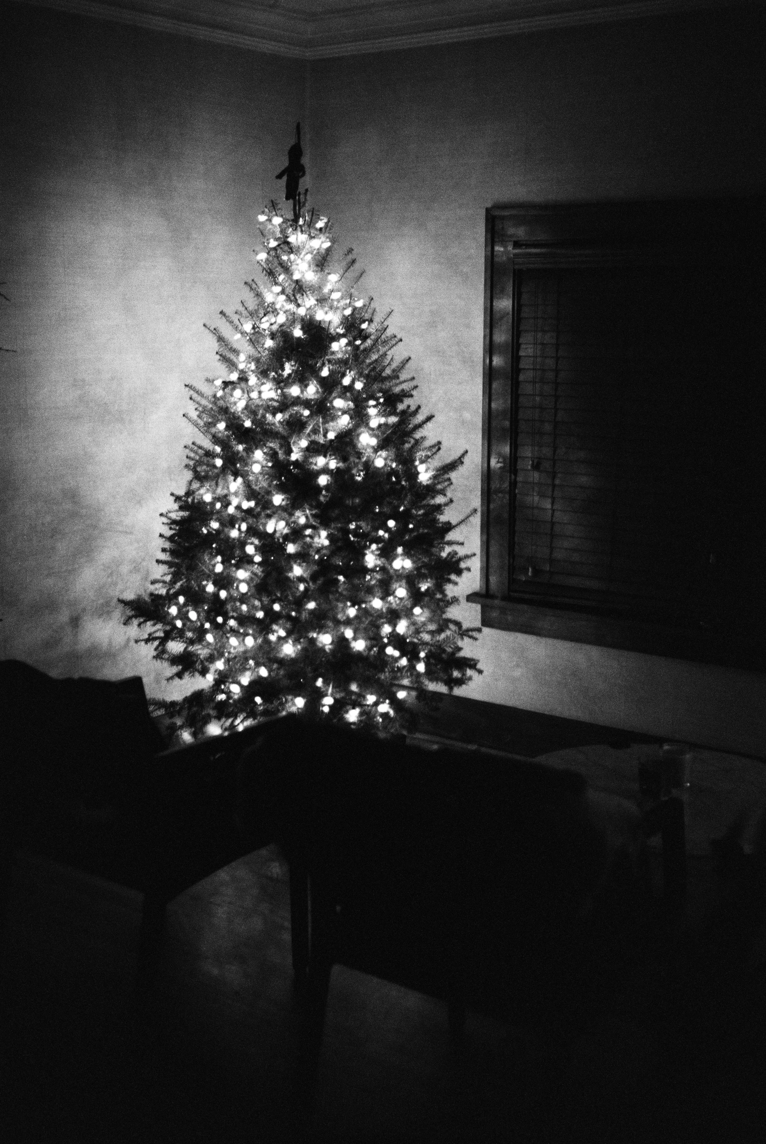 Film: Kentmere 400 BW