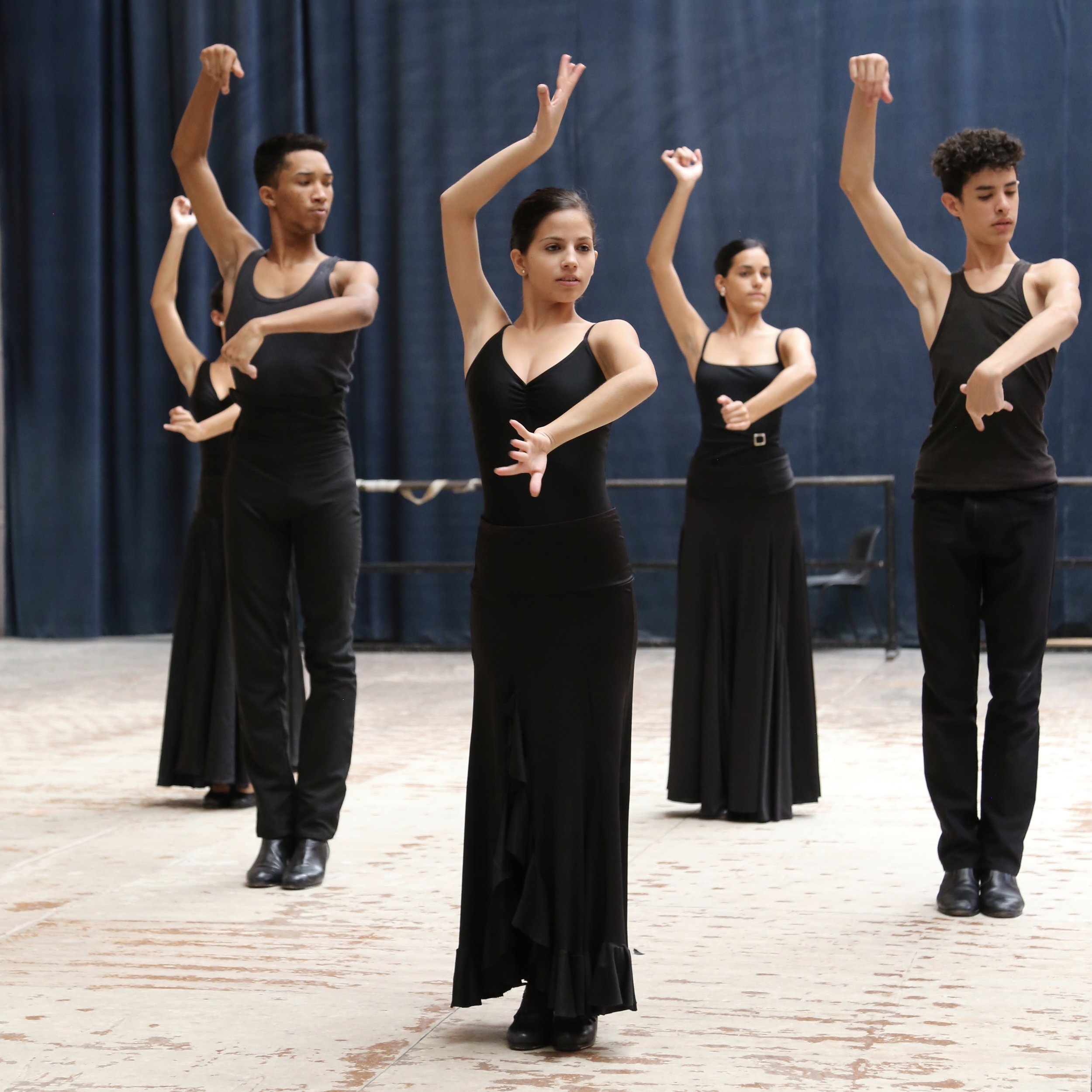 Flamenco II