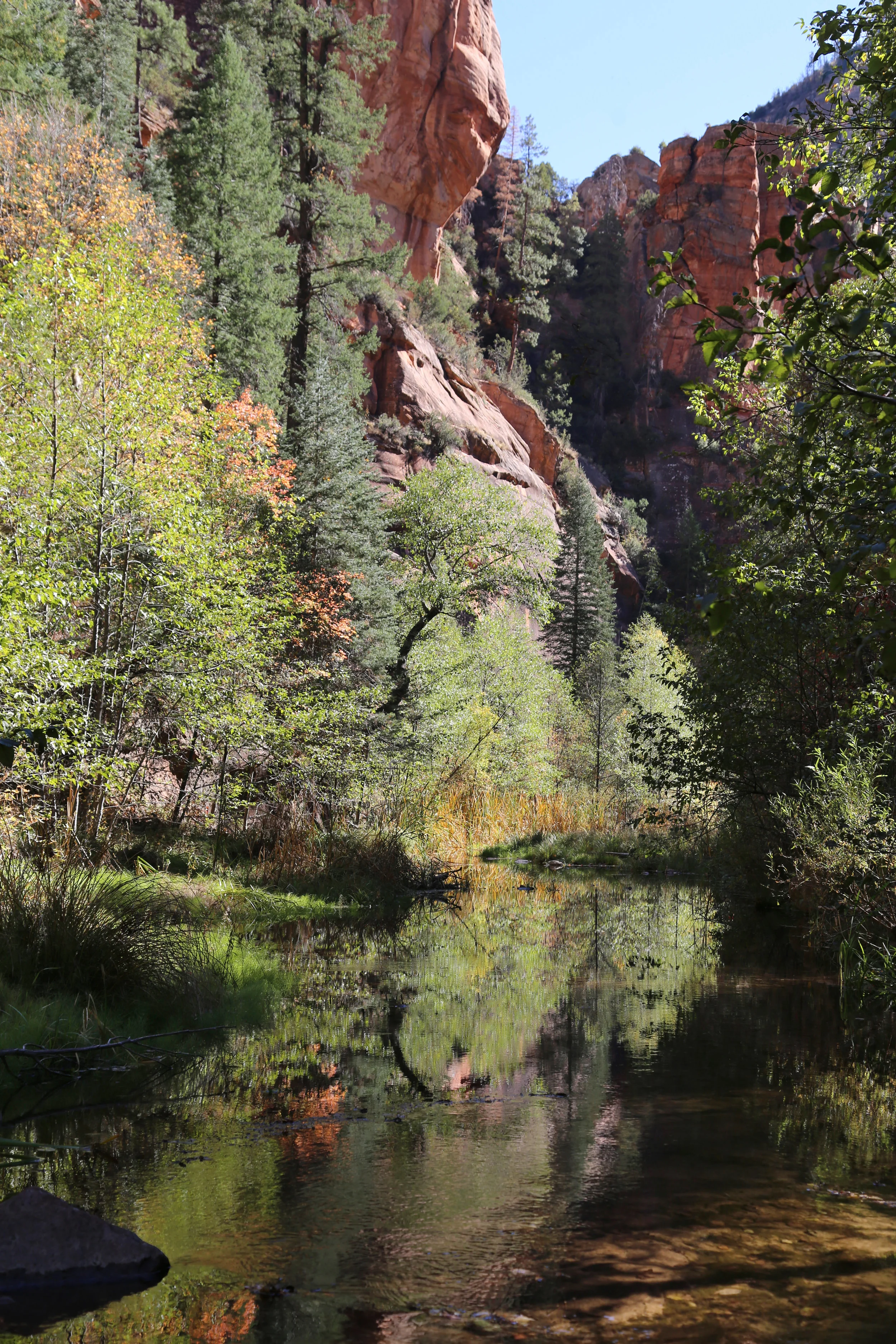 West Fork Canyon