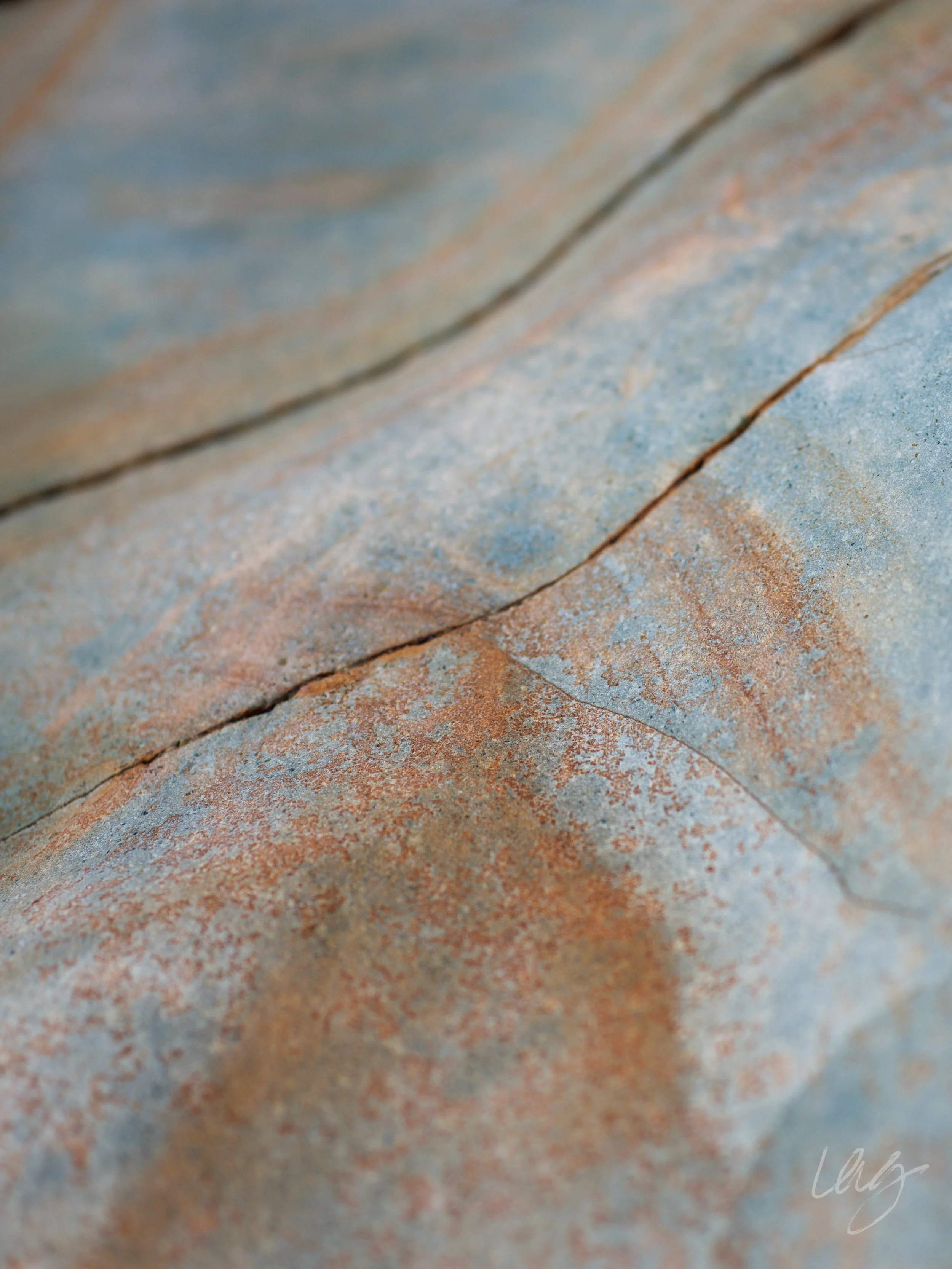 Foundation