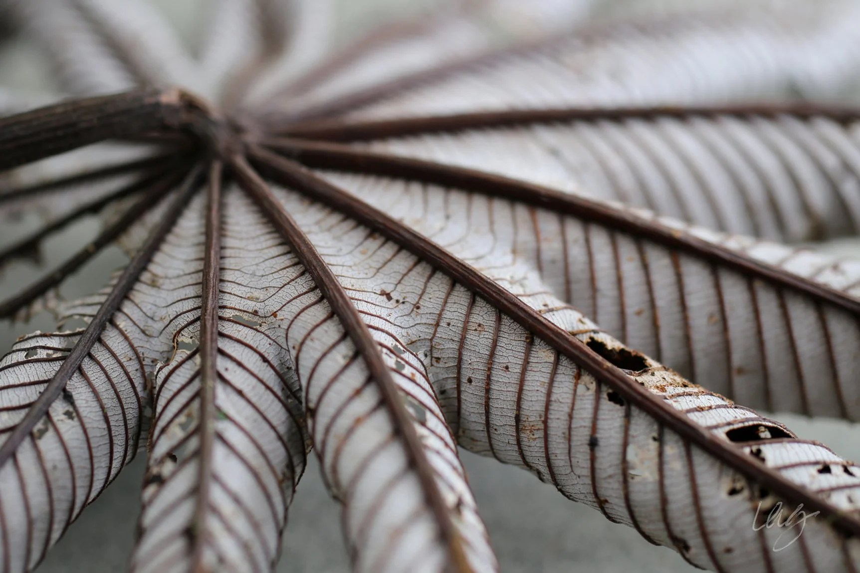 69_GranozioCardsFINALb_IMG_2427flatsig6x9 copy.jpg