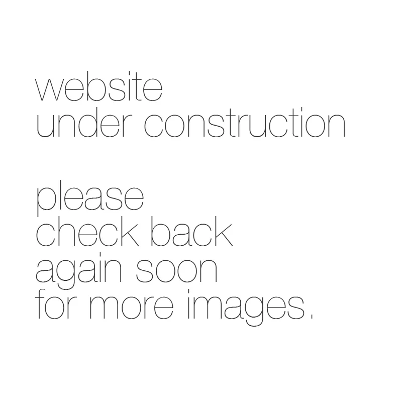 website under construction.jpg