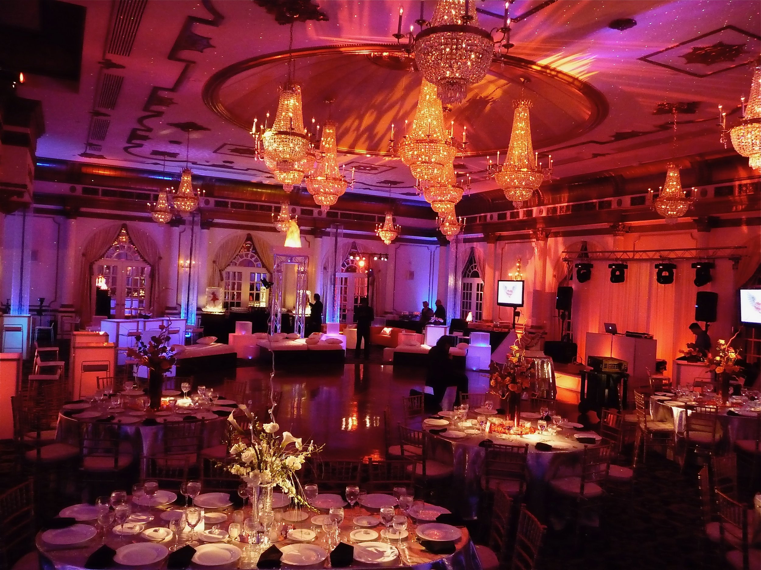 Surrounded conductor seaweed Event Services — Eggsotic Events | Contemporary Event Decor & Rentals