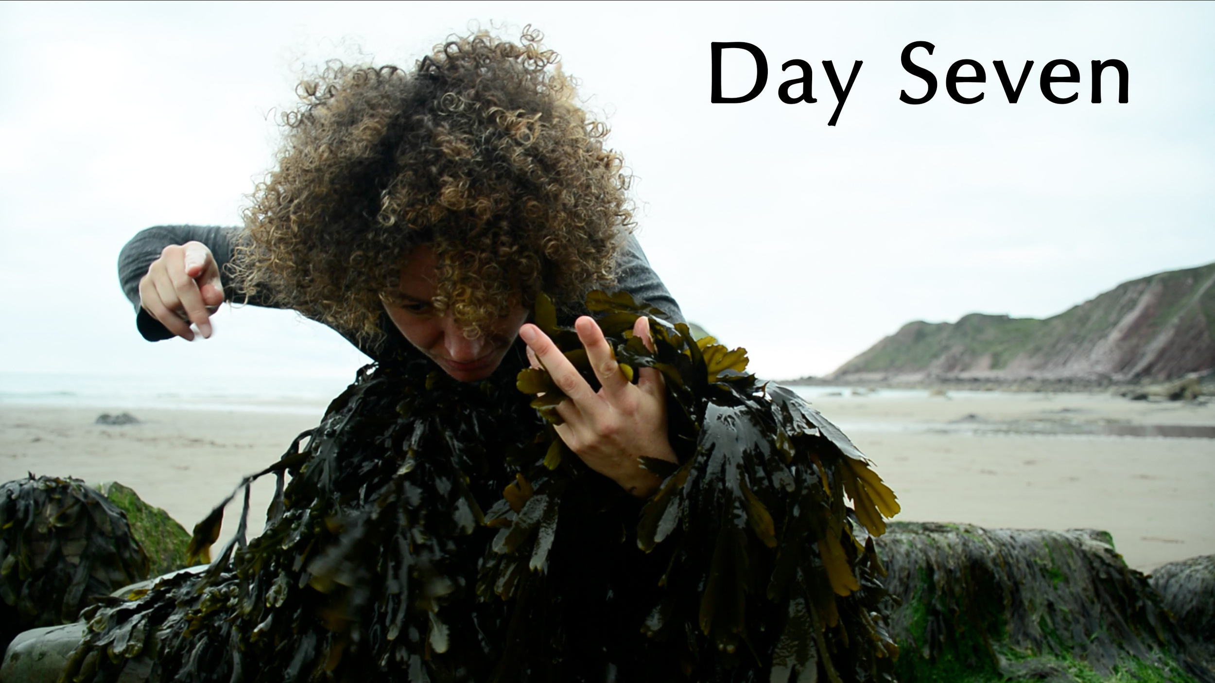 day seven revised cover.jpg