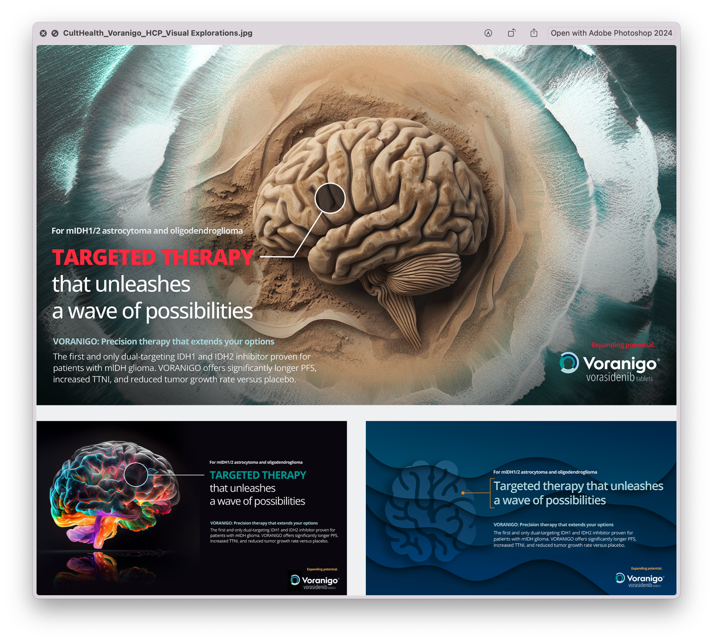 CultHealth_Voranigo_HCP_Visual Explorations2.png
