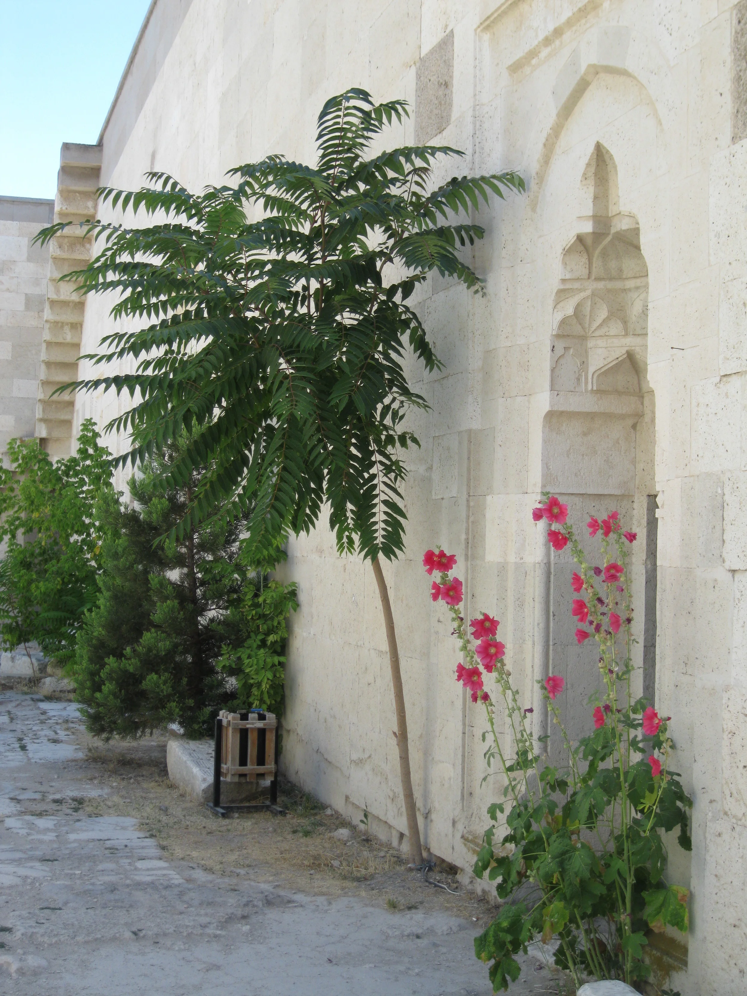 IMG_9262.JPG