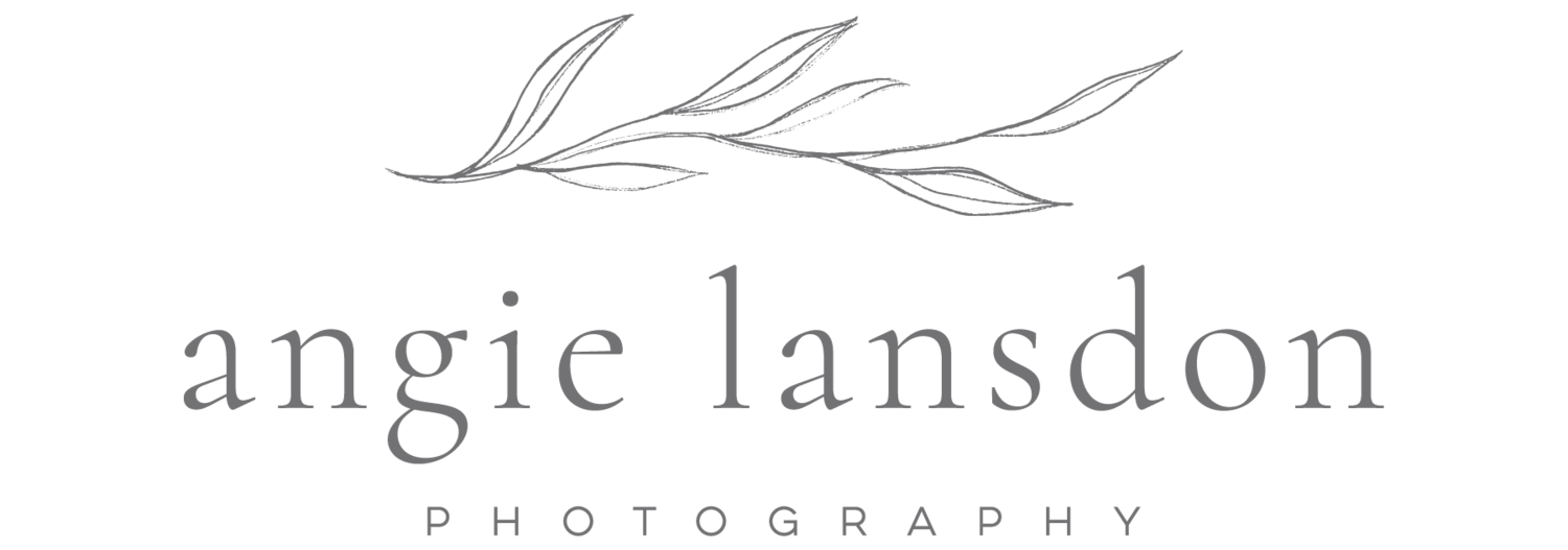 Angie Lansdon Photography LLC