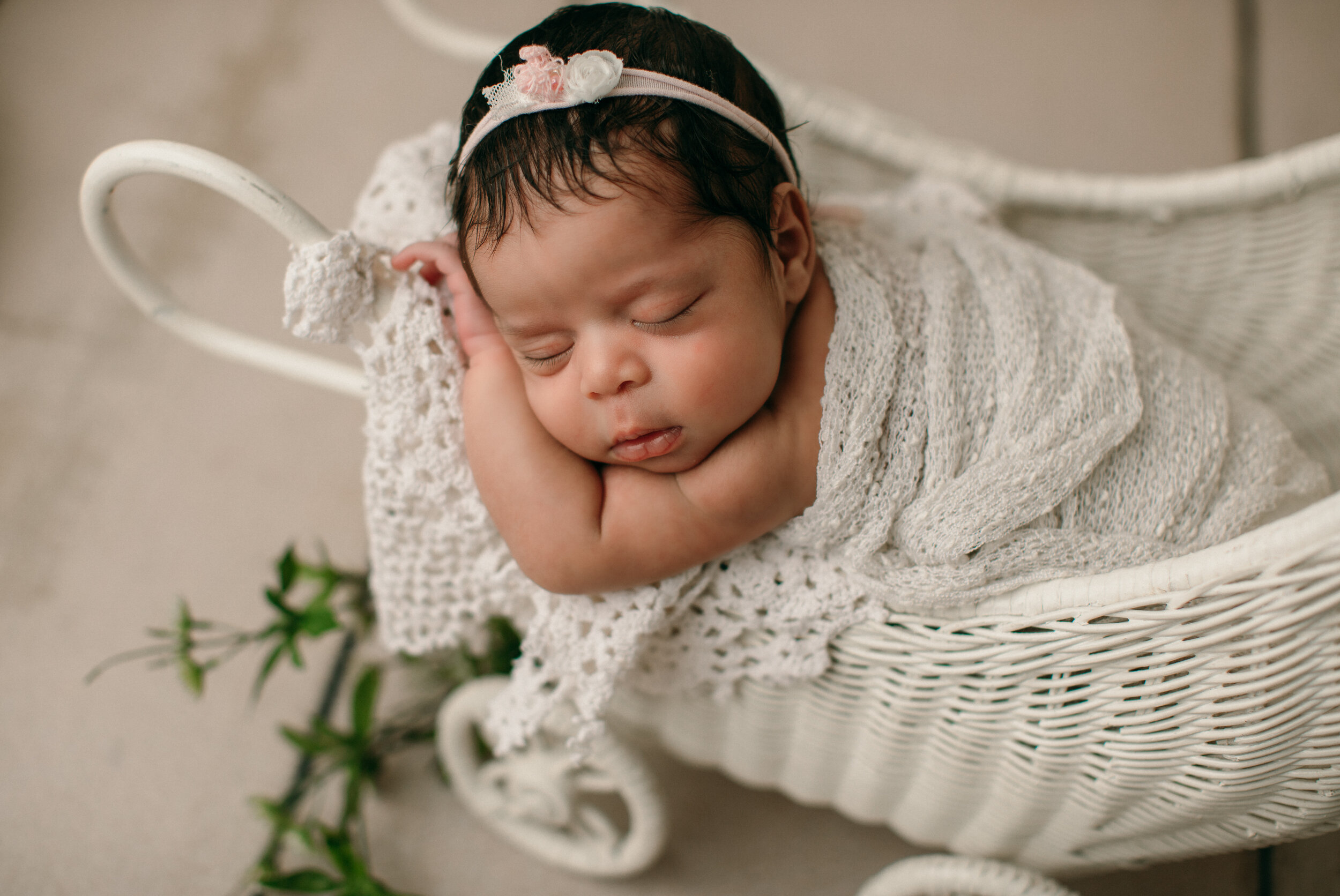 Angie Lansdon Photography Newborn Portraits  00009.jpg