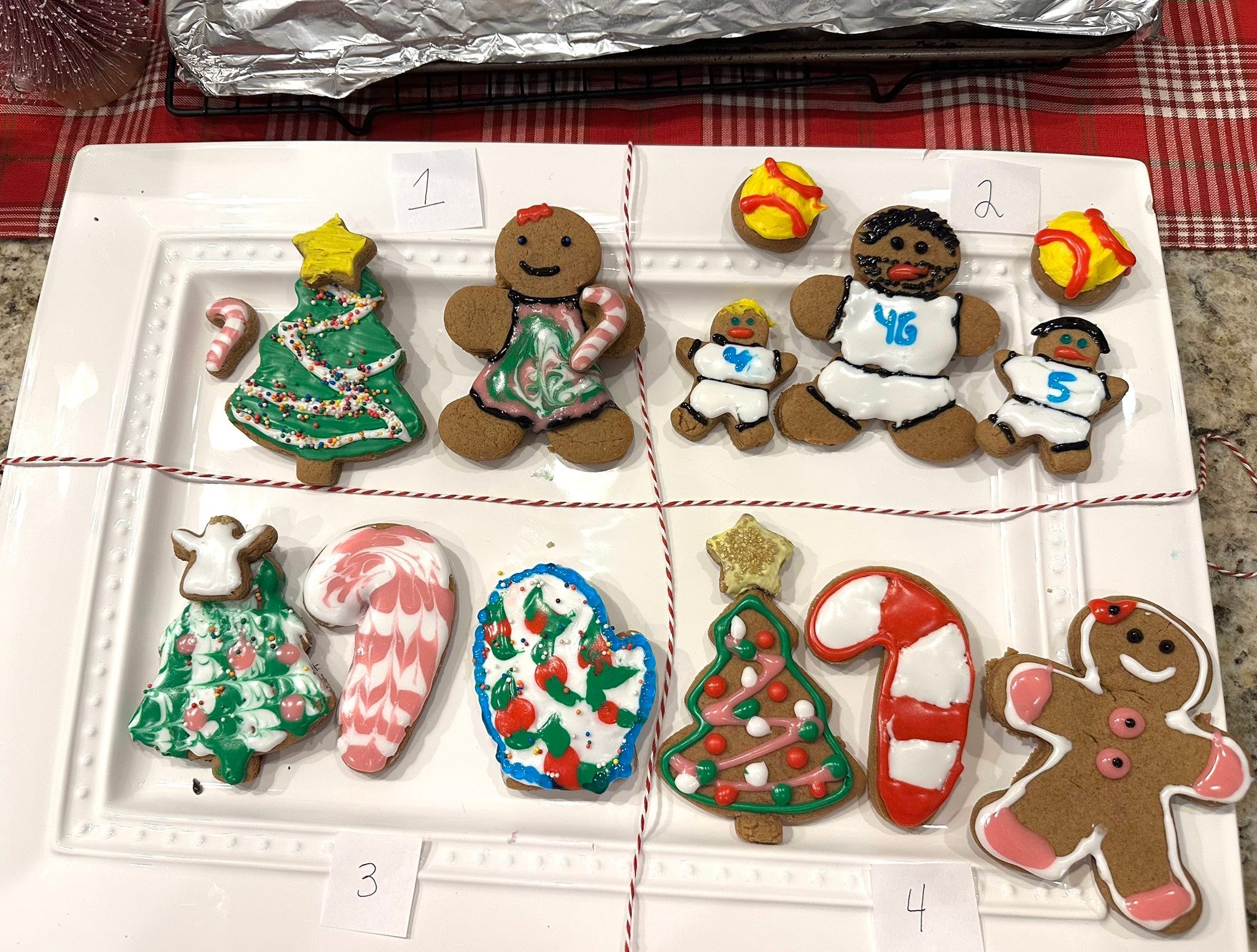 It&rsquo;s that time of year again! Y&rsquo;all vote for your favorite group of Christmas cookies! Me and the girls are trying to take down Adam this year since he won last year!