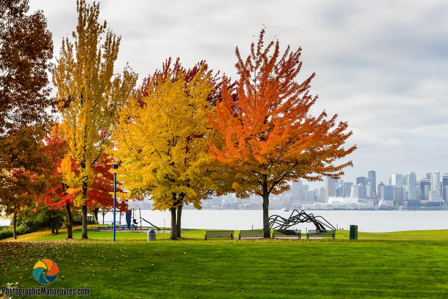 Fall Trees North Vancouver