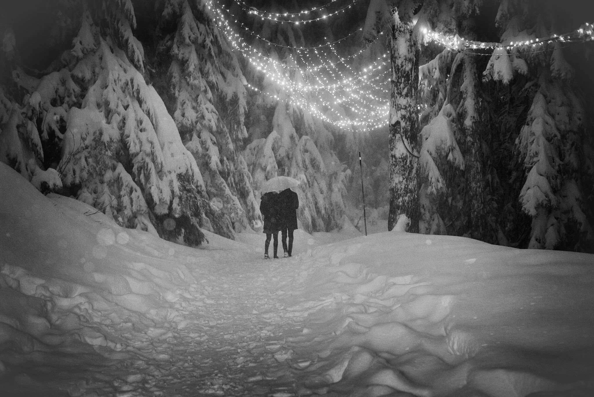 Photographic Manoeuvres-.jpg