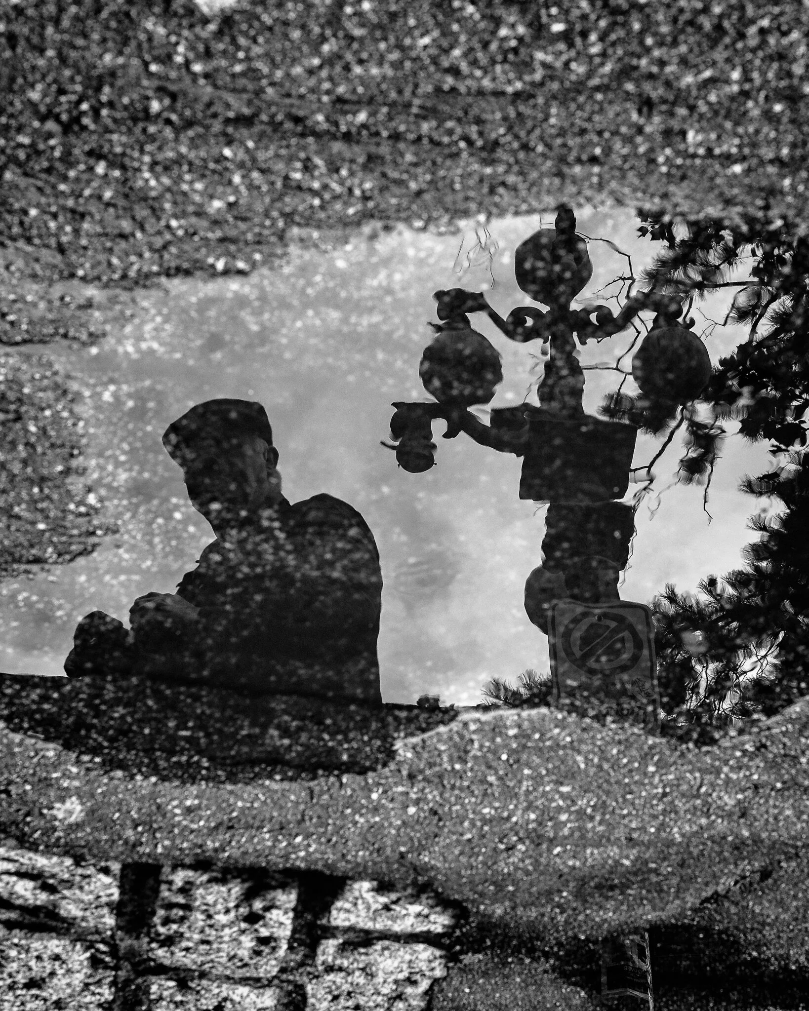 Photographic Manoeuvres--6.jpg