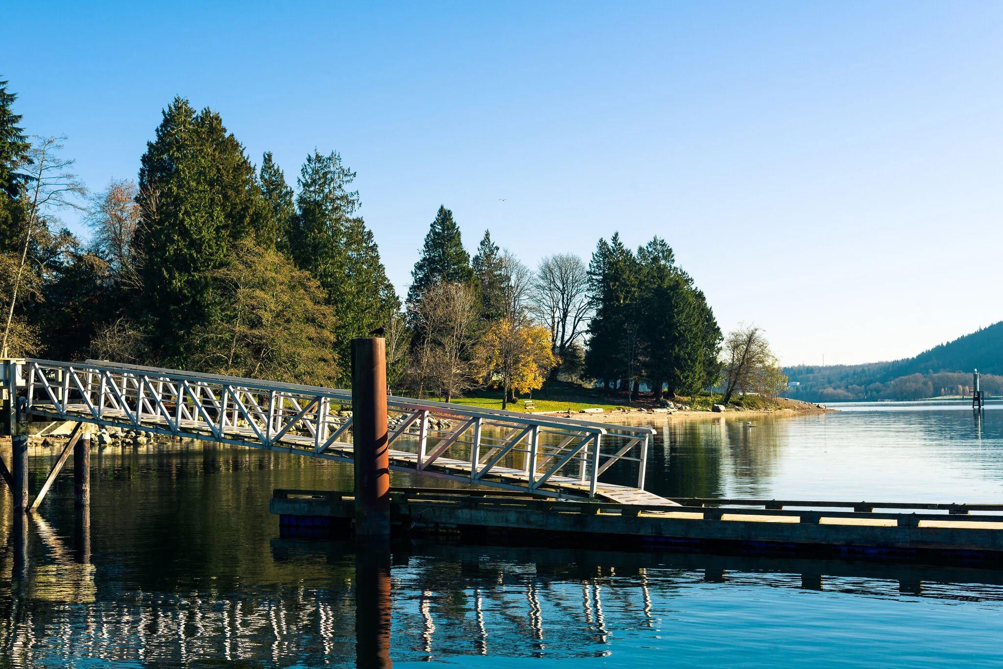 Photographic Manoeuvres-021.jpg