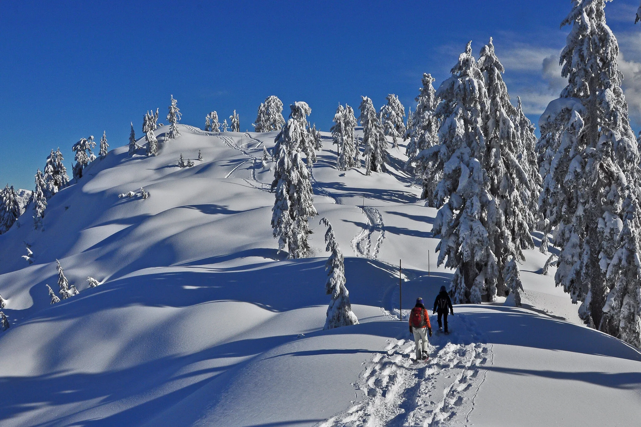 Photographic Manoeuvres-1842.jpg