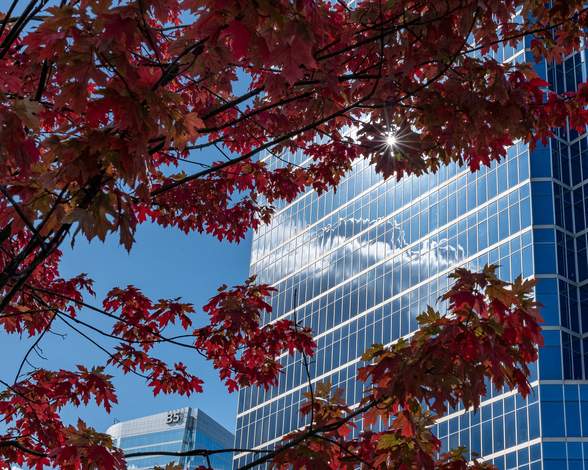 Photographic Manoeuvres-5705.jpg