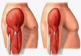 Don't let DOMS stop you from your goals!