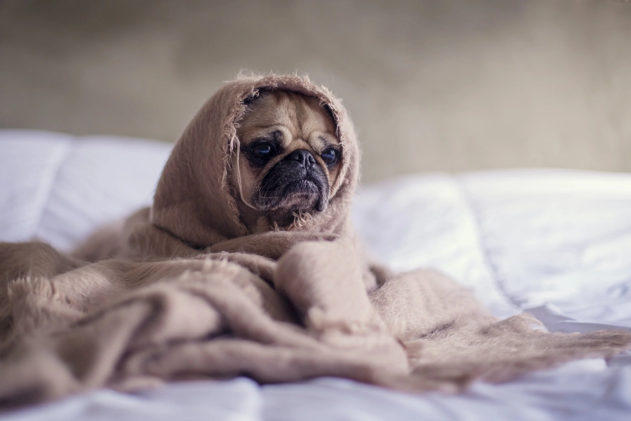 Sleep and working from home