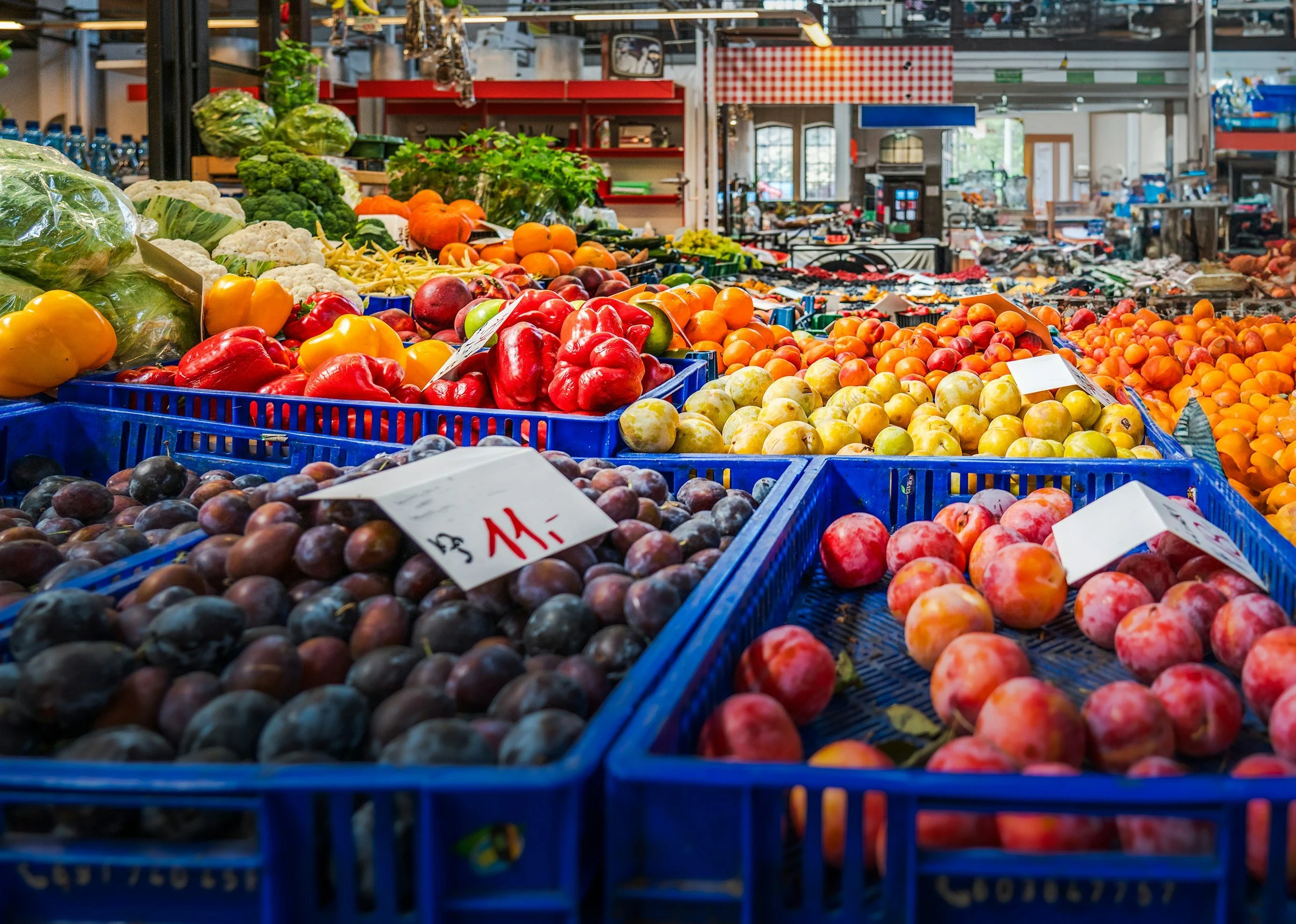 Fundamental Nutrition Education