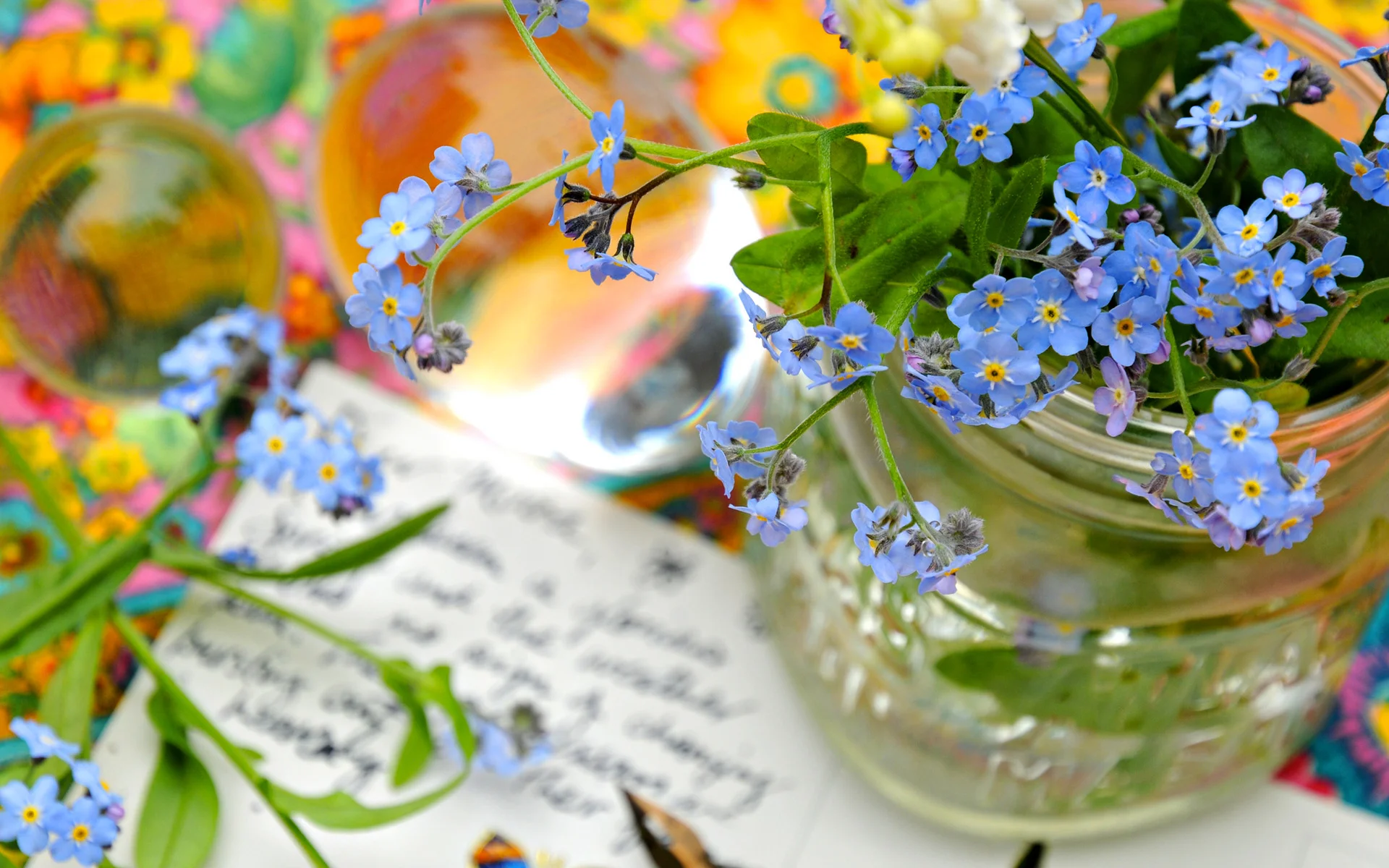 Forget Me Not - 1.jpg