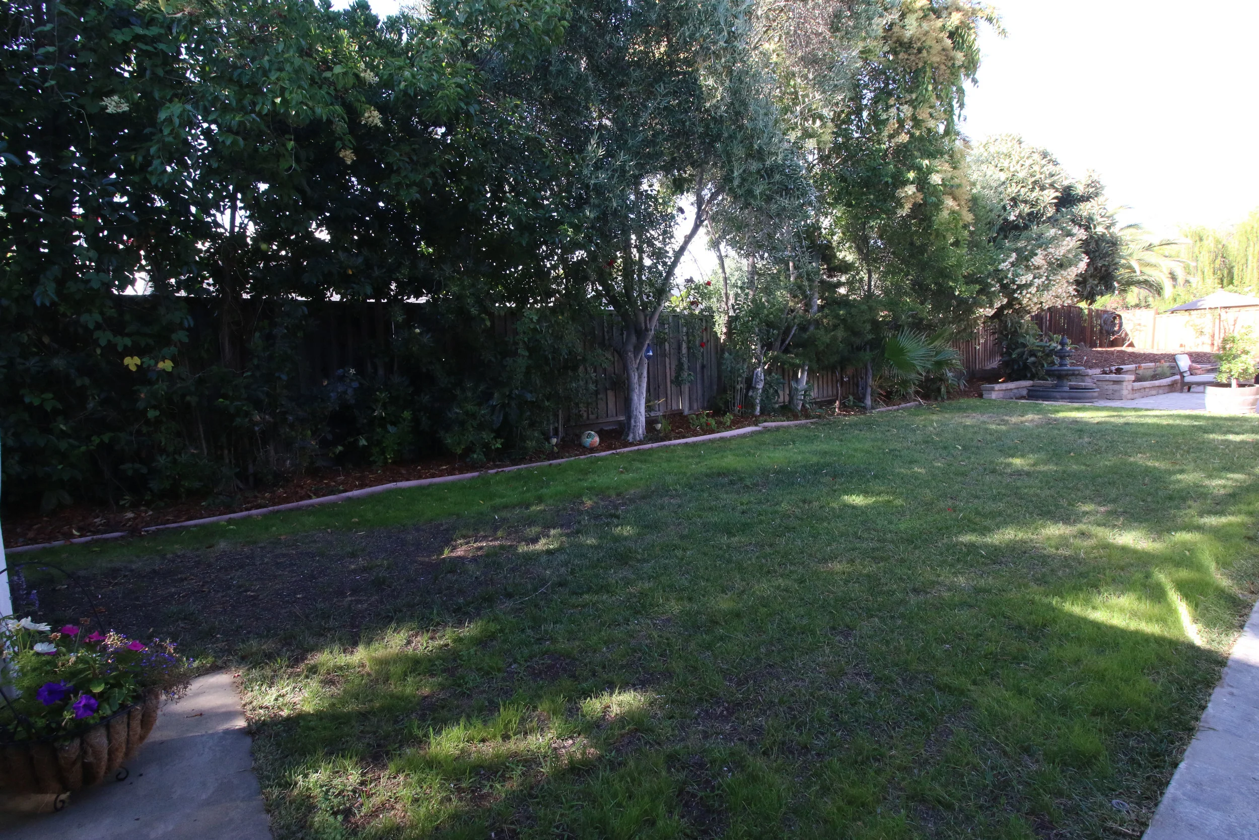 Firewood Back Lawn.jpg
